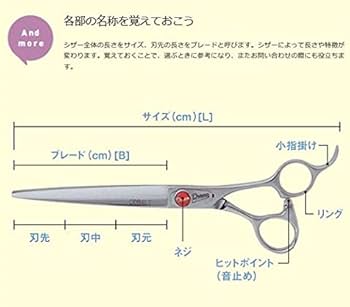 ドリーム産業　セニングシザー Vegas Special Amazon | ドリーム産業 セニングシザー Vegas Special 201396