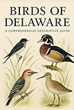 Birds of Delaware: A Comprehensive Descriptive Guide