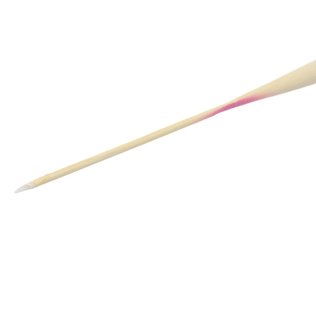 JAGTRADE 10Pcs Wood Fishing Float for Tank Slip Drift Tube Bobber Tackle Tool Accessories, 28cm