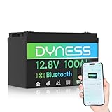 Dyness Batería LiFePO4 12V 100Ah Bluetooth, Sistemas Solares