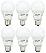 Sylvania LED 72553 6-watt (40-watt Equivalent) 22.8 Year Long Life, A19 Daylight White Light Bulb (6 Pack)
