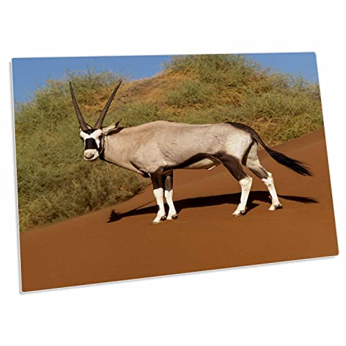 3dRose Namibia Pad para Escritorio 23"x16"