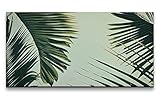 Paul Sinus Leinwandbild 120x60cm Kentia-Palme Grüne Blätter Palme Kunstvoll Dekorativ