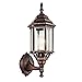 Kichler Chesapeake 17" Outdoor Wall Light in Tannery Bronze, 1-Light Exterior Porch Light, Coastal Wall Sconce with Clear Beveled Glass, (17" H x 6.5" W), 49255TZ, 12.25 in