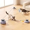Interactive Cat Feather Toys for Indoor Cats Chasing Running Exercise