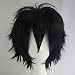Black Cosplay Synthetic Wig with Bangs Short 20 Styles Anime Layered Fluffy Hair Oblique Fringe Full Head Unisex for Man and Women Girls Lady Fashion (Black)