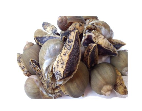 Yۋ@kOY@ςĂȂȂ@Oт LTCY 500@@ςEłEo^[Ăɂǂ@@@@ł Ifcu Arcu Ifcu X\KC