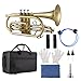 BCDYH Bb コルネット 金管楽器 表面塗装 金処理 プロ仕様 金管コルネット キャリングケース 手袋 クリーニングクロス ブラシ付き 学生や初心者向け B 222
