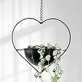 Hajia 1 Pack Heart Shaped Boho Hanging Plant Holder with 6inch Detachable Pot, Black Metal Wall Ceiling Plant Hanger for Indoor Outdoor, Minimalist Small Hanging Planter for Home Wedding Decor