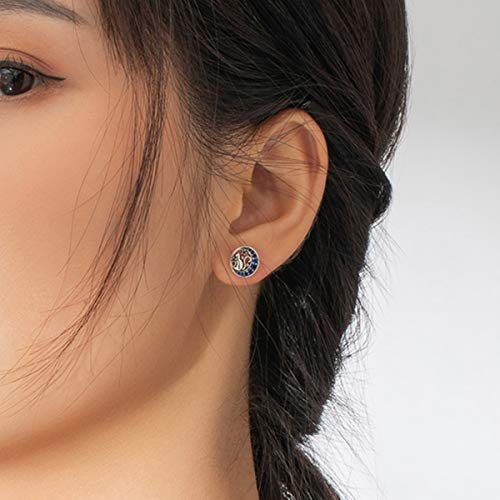 BISAER 925 Sterling Silver Stud Earrings Hypoallergenic Cute Animal Butterfly Cat Paw Flower Fairy Mermaid Earrings for Women Jewelry2