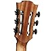 LAG GUITARS Sauvage Nylon Auditorium Slim Cutaway Acoustic-Electric w/Hybrid Gigbag, Eco-friendly design
