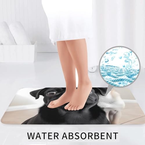 Tapis de bain microfibre absorbant lot de 3 avec contour WC U