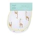 aden + anais burpy bib 2 pack; jungle jam