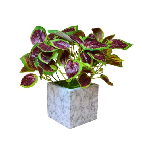 Image of fancymart Artificial Plant with Real-Touch Leaves in Pot, 25 cm, Indoor Tabletop Item for Home Decor, Office, Living Room