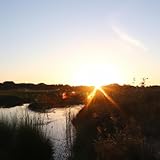 The Gallo Record Company Vault