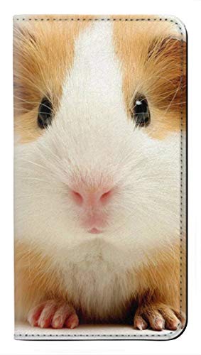 Étui Cochon d'Inde Samsung Note 20 pour éviter rayures et chocs d'écran