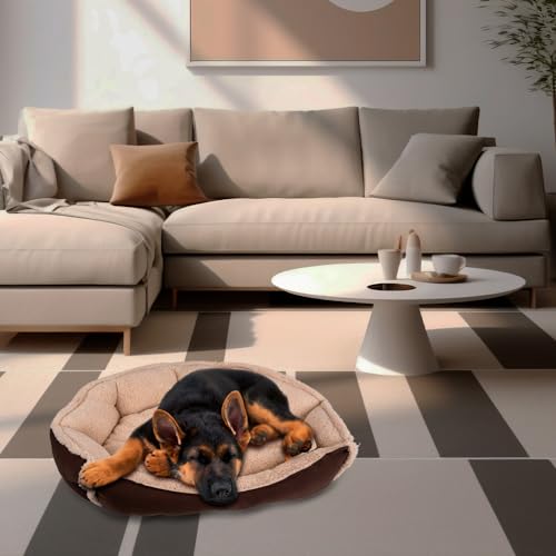 Mascotas, Pet Products Imagen adicional