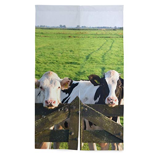 Akiraki ̂ Ռ ډB g Ԏd؂  O a J[e     킢  킢 Lb` HX rO o 86cmx143cm Ȗ 􂦂