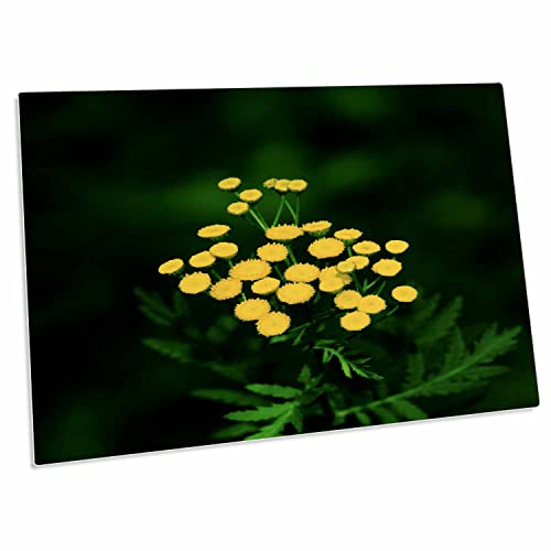 3dRose Yellow Tansy Wildflowers Desk Pad 23x16 in