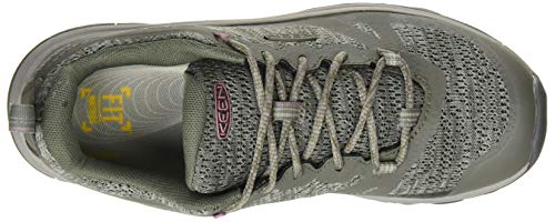Keen Womens Terradora 2 Waterproof Low Height Hiking Shoe, Dusty Olive/Nostalgia Rose, 10 Us #TOP4