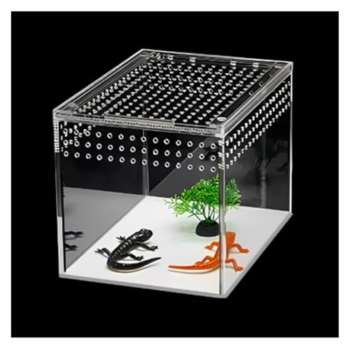 虫かご 虫カゴ アクリル製爬虫類ケース 飼育箱 タランチュラ・サソリ用テラリウム 昆虫ケース バッタ(White)