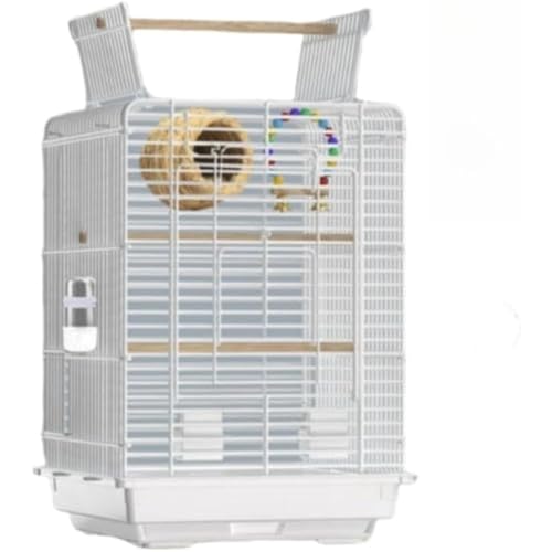 TAYOA  P[W o[hP[ W ^ ZLZCCR  Vt a |₷ ZLZCCR IJCR  P[ W Q[W  (zCg)