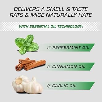 Tomcat Rodent Repellent for Indoor and Outdoor Mouse and Rat Prevention, Continuous Spray, 14 oz.