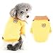 Ranphy Fleece Dog Jumper for Small Dog Girls Boy Warm Pet Outfit with Plaid Collared Neck Puppy Sweater Soft Autumn Winter Sweatshirt Chihuahua Yorkie Pullover Cat Apparel Yellow XL