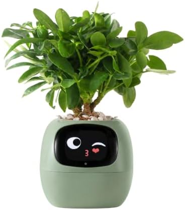 Smart Flowerpots,Smart Pet Planter,Ai Planter,Intelligent Flowerpots,Multiple Expressions,7 Smart Sensors, And Ai Chips Make Raising Plants Easy And Fun For Living Room,Desk,Plant-free (Green)