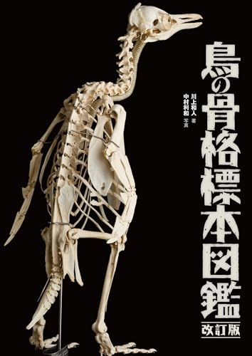 鳥の骨格標本図鑑 改訂版 (BIRDER SPECIAL)