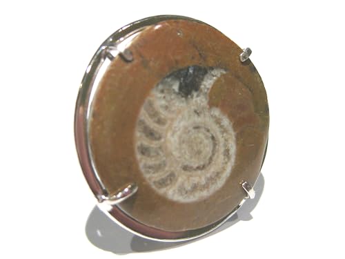 Bague rond ammonite argent 925 à porter pour vos soirées bohèmes chic