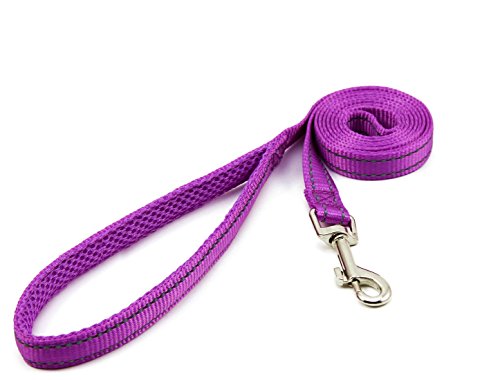 Big Smile Paw Reflective Dog Leash For Small Dogs,Padded Handle (Purple) #TOP2