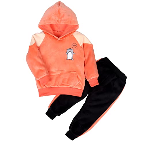 Image of Bold N Elegant Unisex Kids Velvet Fleece Solid Happy Hamster Bear Cartoon Warm Velvet Pullover Sweatshirt Hoodie Tshirt and Pyjama Pant Winter Clothing Set