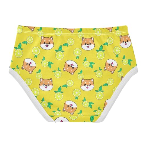 Joisal Cute Cartoon Dog Lemon Yellow Girls Underwear Toddler 2t Cotton Panties Little Girl Personalized Briefs Undies Kids2