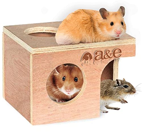 A&E Cage Company 52400900: Animal Hut Hampster/Gerbil Md