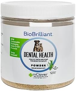 Dental Health Powder for Dogs and Cats, Natural Pet Supplement by InClover, BioBrilliant Dog and Cat Teeth Treat, Helps Dental Health, Daily Supplement for Pets, Natural Whey Goat Milk, Sweeten Breath