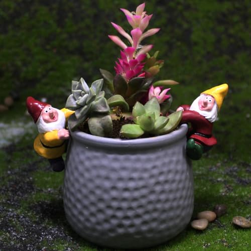 Petites figurines de nains à offrir pour embellir un pot de fleurs ou une cour