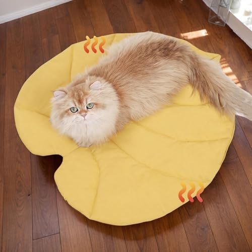 Tapis de chenil imperméable et lavable isolant pour auto et cage