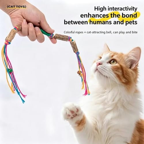 Matatabi Katzen Spielzeug, 4 Stück Katzenminze Sticks, Katzenminze Sticks aus Silver Vine Holz mit Baumwollseil, Kaustangen Katze Zahnpflege, Katzenspielzeug Vzur Zahnpflege & Beschäftigung-4