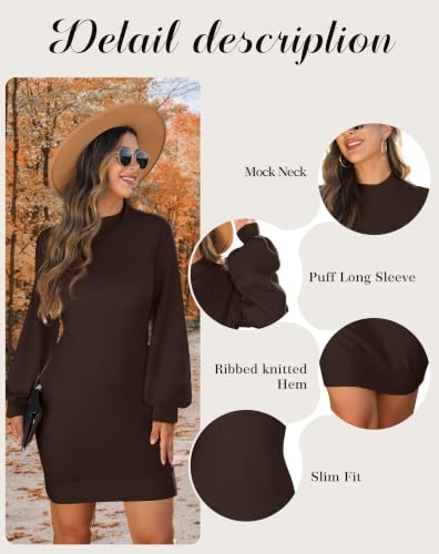 Image of GRECERELLE 2026 Womens Fall Winter Mock Neck Mini Pullover Sweater Dress