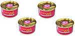 Car Air Fresheners Long Lasting