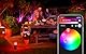 Philips Hue White and Color Ambiance LED Calla Extension for Outdoor use, dimmable, up to 16 Million Colors, controllable via app [Energy Class G] (Packung mit 2)