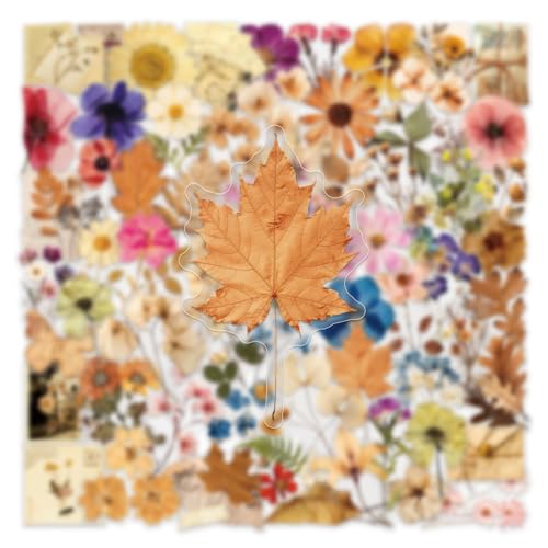 Image of 100PCS Transparent Flora Scrapbook Stickers, Vintage Aesthetic Flowers Sticker for Scrapbooks Travel Journal, Vinyl Waterproof for Water Bottles Laptop Phone Scrapbook Supplies DIY Crafts (Flower-AB)