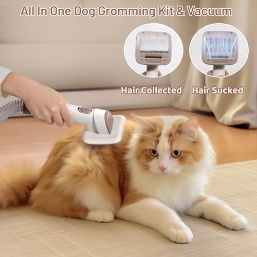 Encuentra reviews de Abrigo pelo blanco tabla con los diez mejores. 6 Imagen adicional