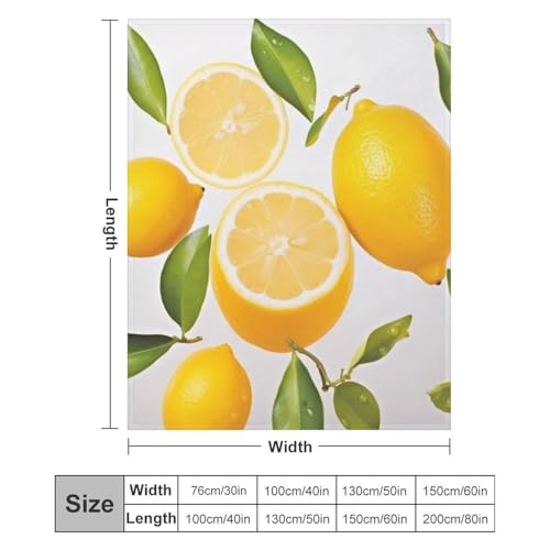 Couverture en flanelle 152x203 cm citron pour lit et canapé - 3