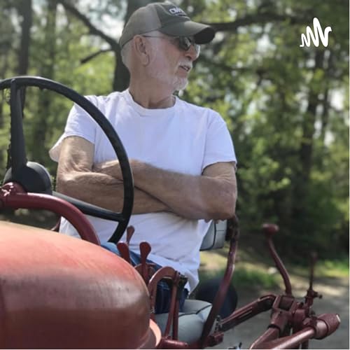 In the Short Rows Titelbild