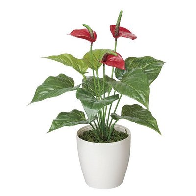 Amazon｜光の楽園 アートグリーン 人工観葉植物 光触媒 フレッシュ