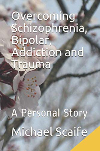 Overcoming Schizophrenia Bipolar Addiction And Trauma A Personal 