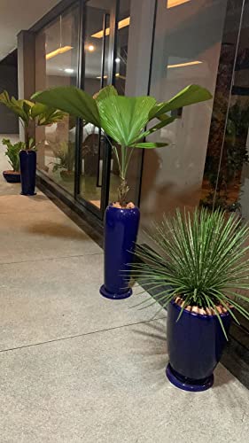 Vaso Fibra De Vidro Vitrificado Estilo Vietnamita 76x29cm (Azul)