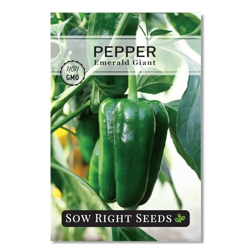 Sow Right Seeds - Emerald Giant Pepper Seeds for Planting - Non-GMO Heirloom Variety - Sweet Green Bell Peppers for Planting Outdoors - Easy to Grow Garden Vegetable - High Yield Plants (1)